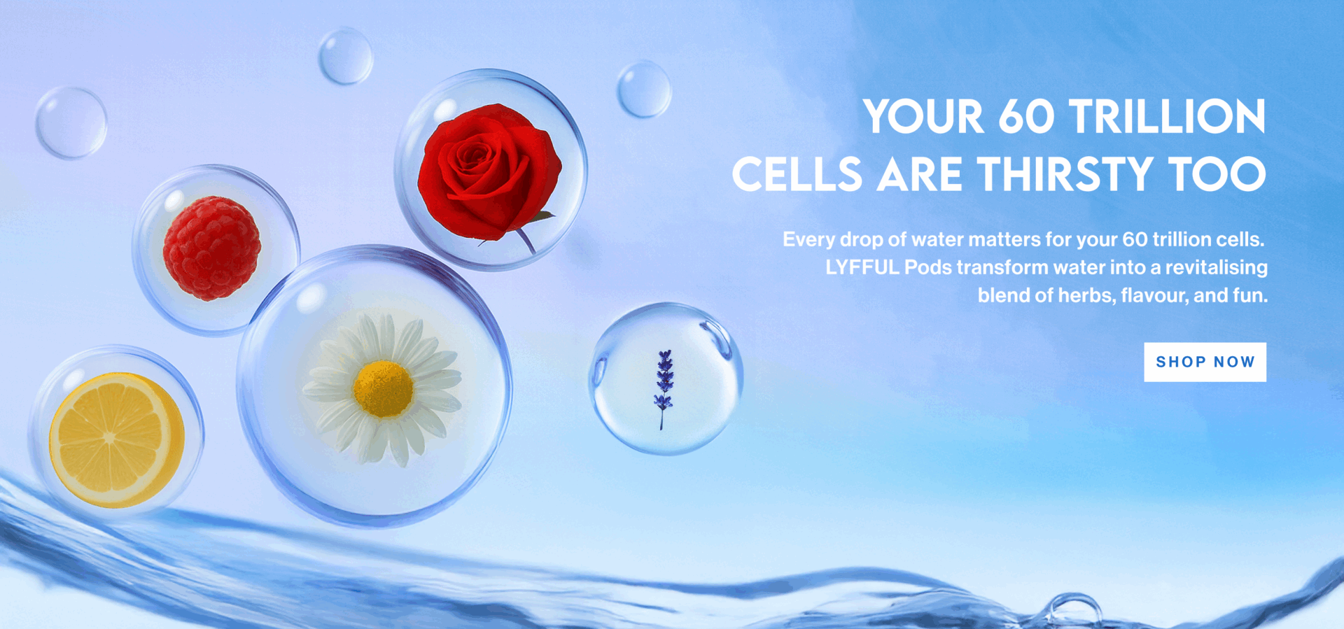 Banner 2_60 trillion cells
